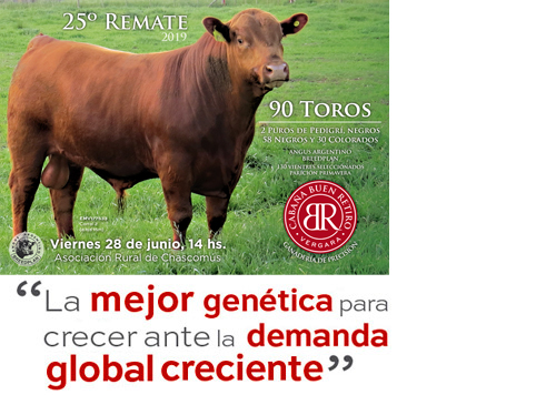 Catálogo remate 2016